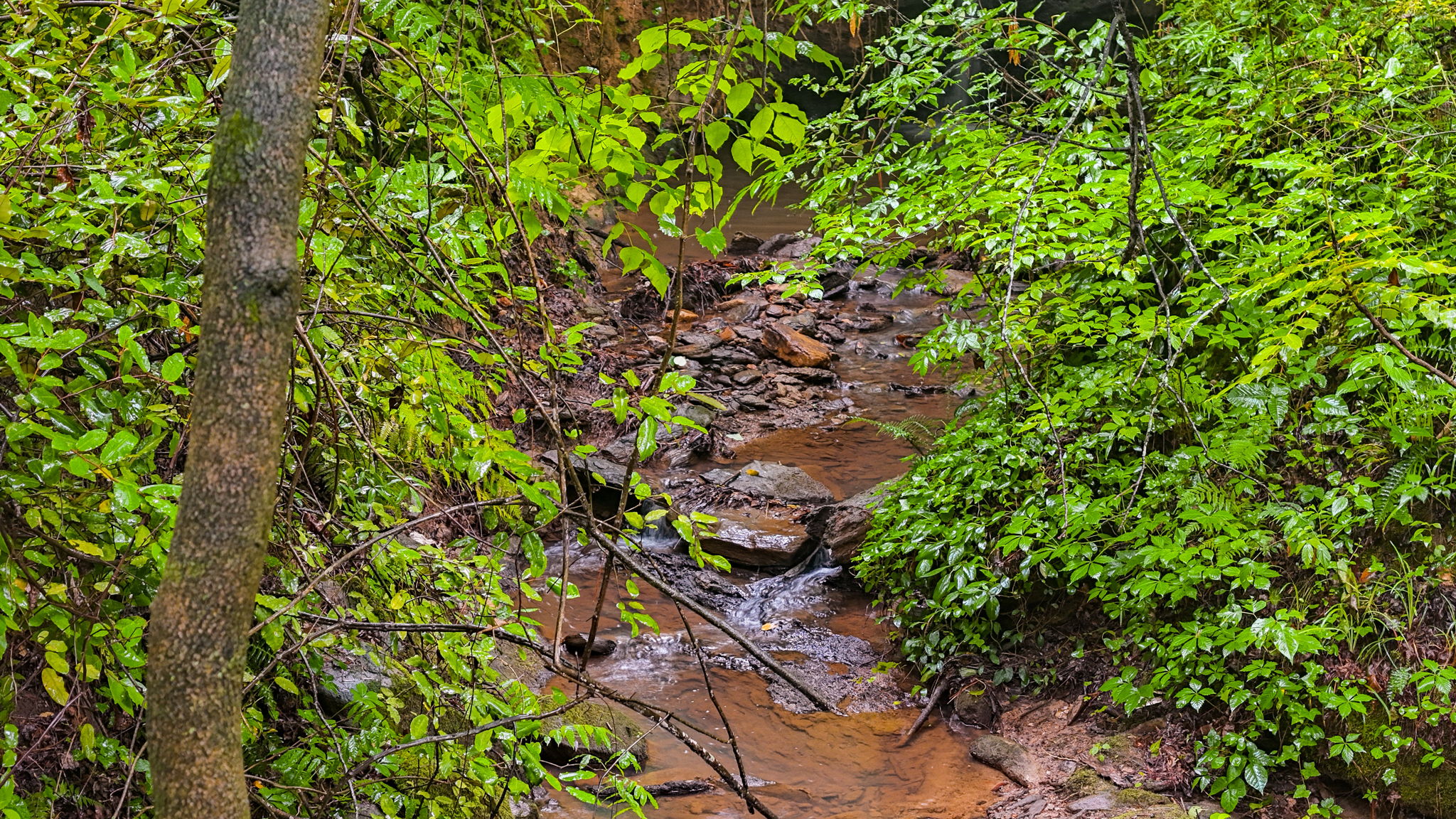 mppmedia3403glenwoodrd14