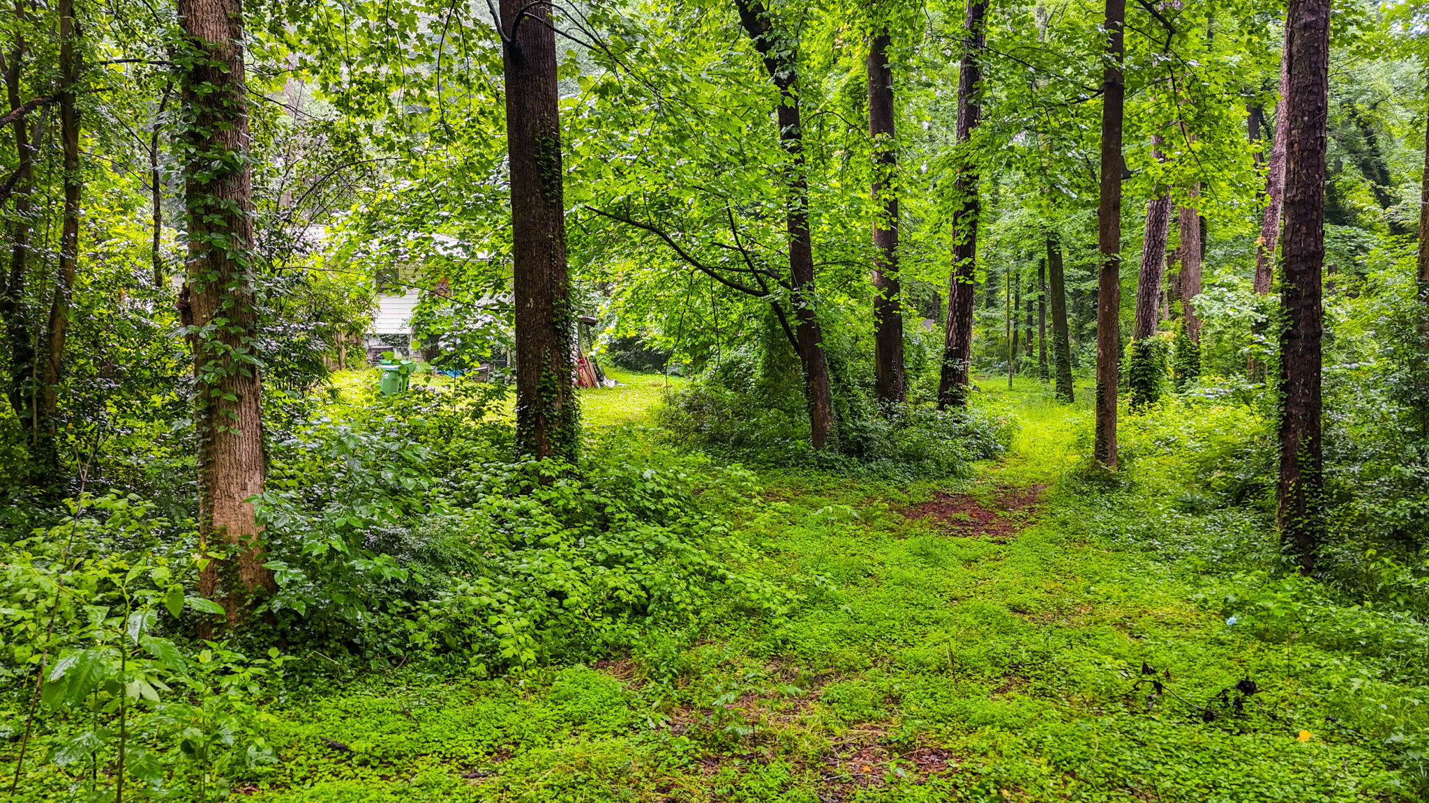mppmedia3403glenwoodrd16