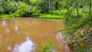 mppmedia3403glenwoodrd07