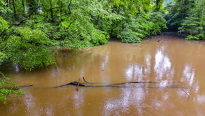mppmedia3403glenwoodrd08