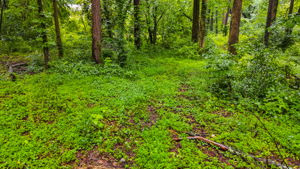 mppmedia3403glenwoodrd10