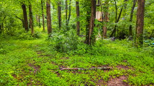 mppmedia3403glenwoodrd11