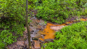 mppmedia3403glenwoodrd13
