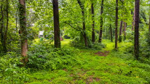 mppmedia3403glenwoodrd16