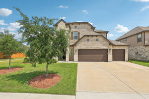 Majestic Pine Ln-1705-001