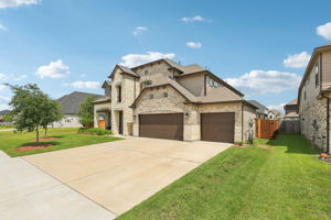 Majestic Pine Ln-1705-002r