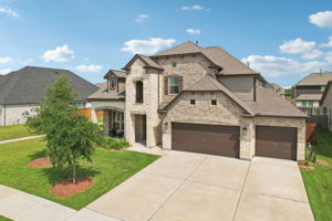 Majestic Pine Ln-1705-049r