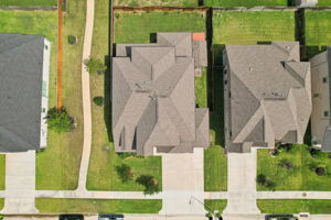 Majestic Pine Ln-1705-055r