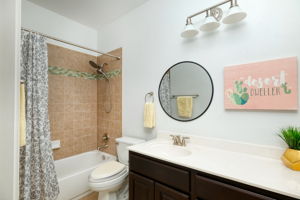 Hall Bathroom