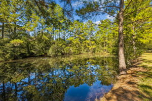 Pond