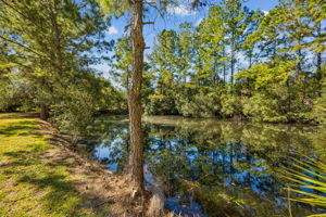 Pond