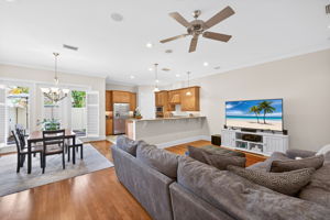 Living Room 1