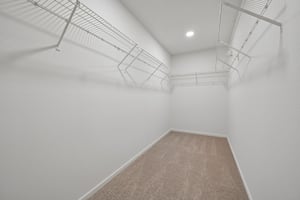 Carica Dr-S0210-024.jpg