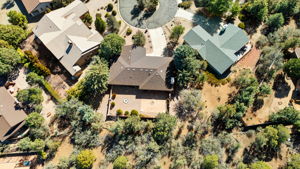 Birds Eye