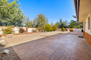Back Patio (1)