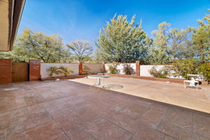 Back Patio (2)