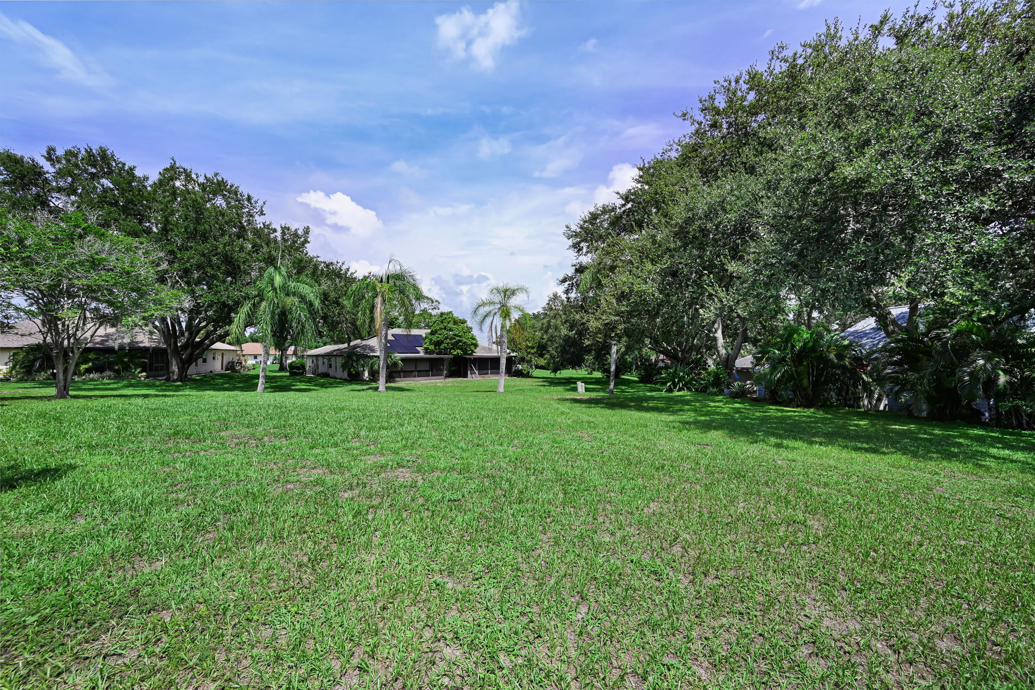 Backyard6