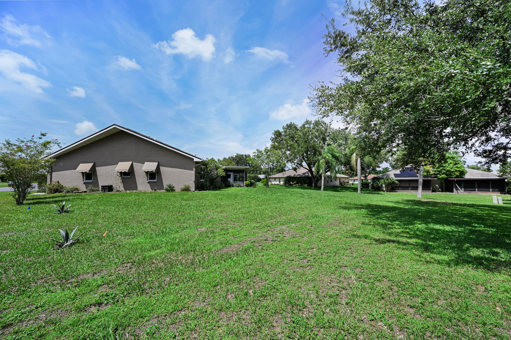 Backyard1
