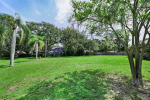 Backyard5