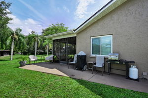 Backyard4