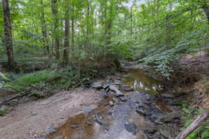  Photo 35