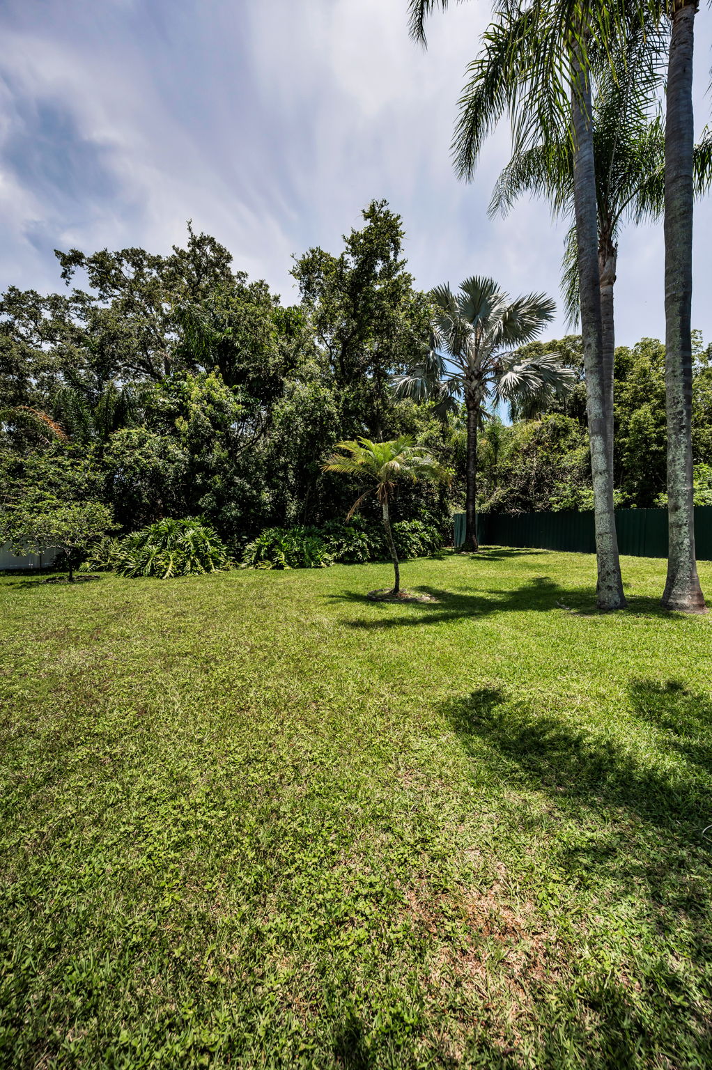 Backyard5