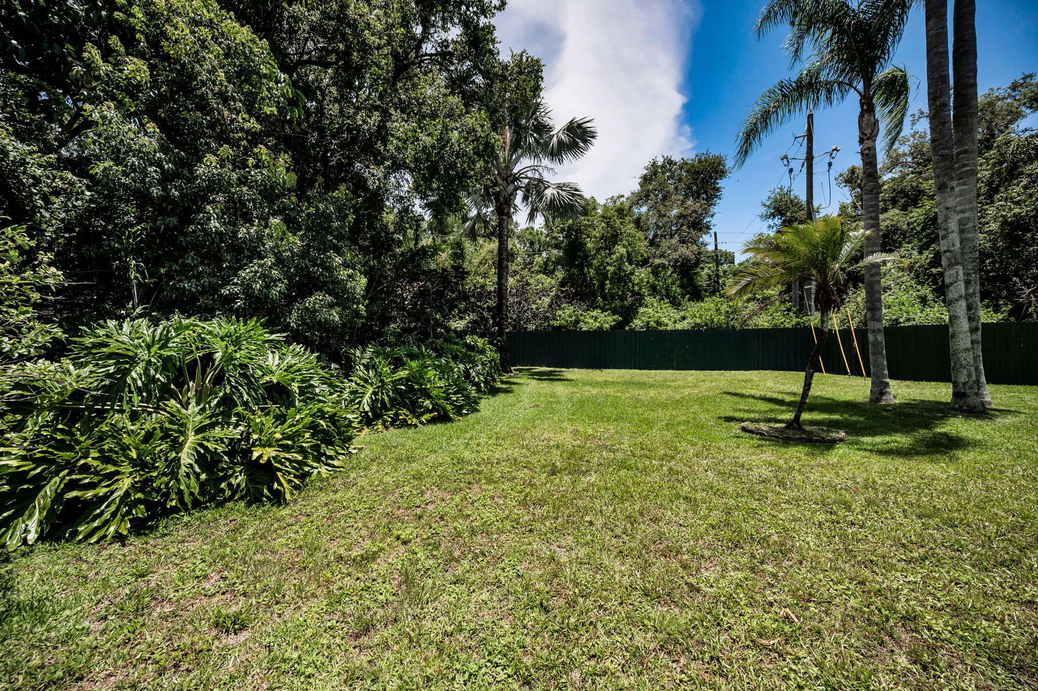 Backyard7