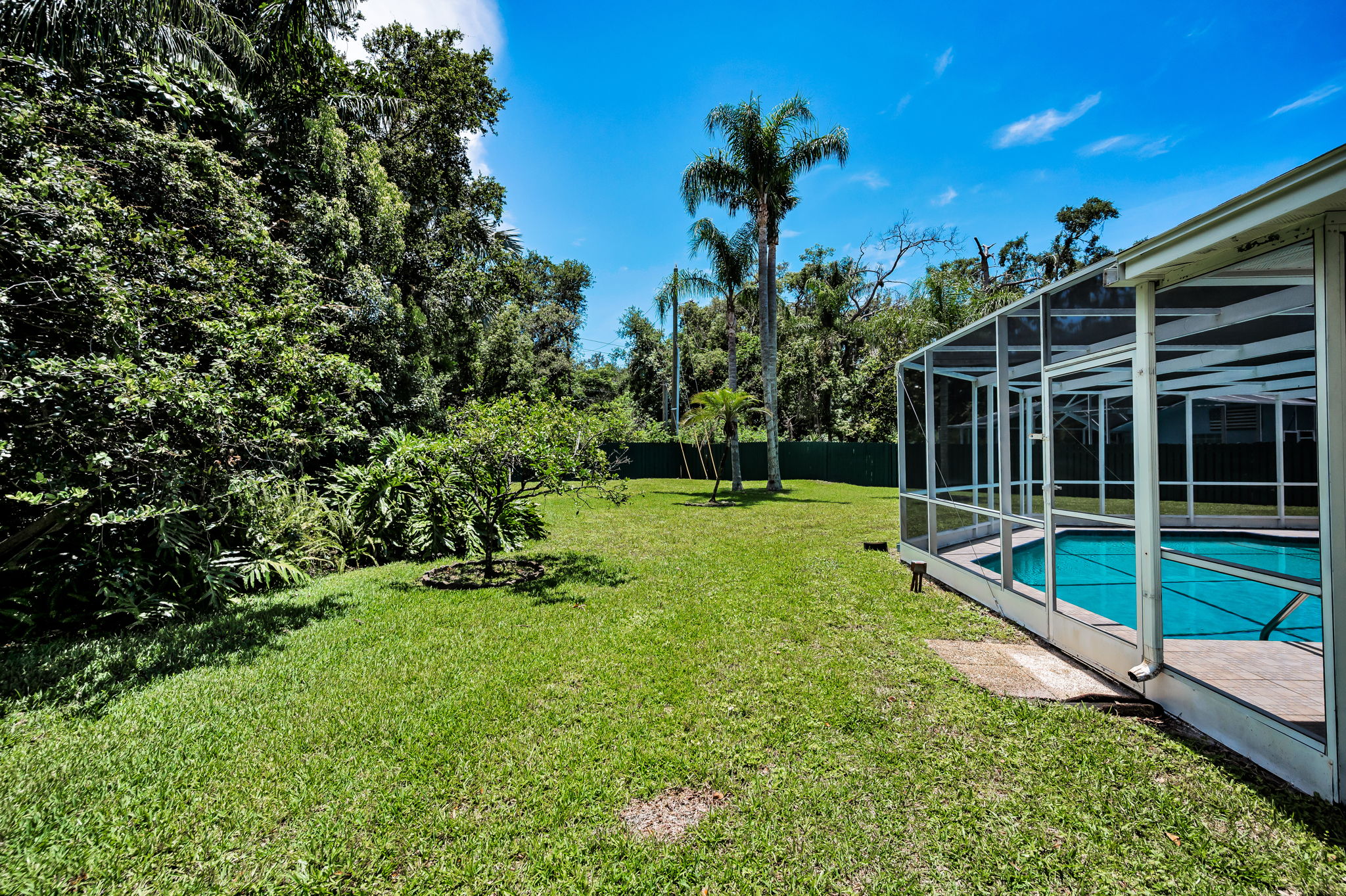 Backyard10