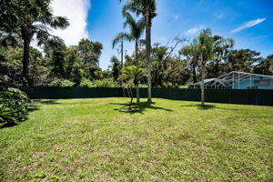 Backyard1
