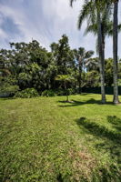 Backyard5