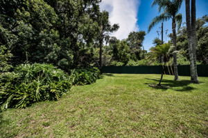 Backyard7