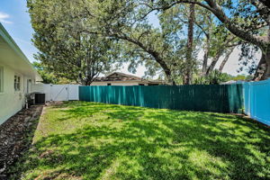 Backyard11