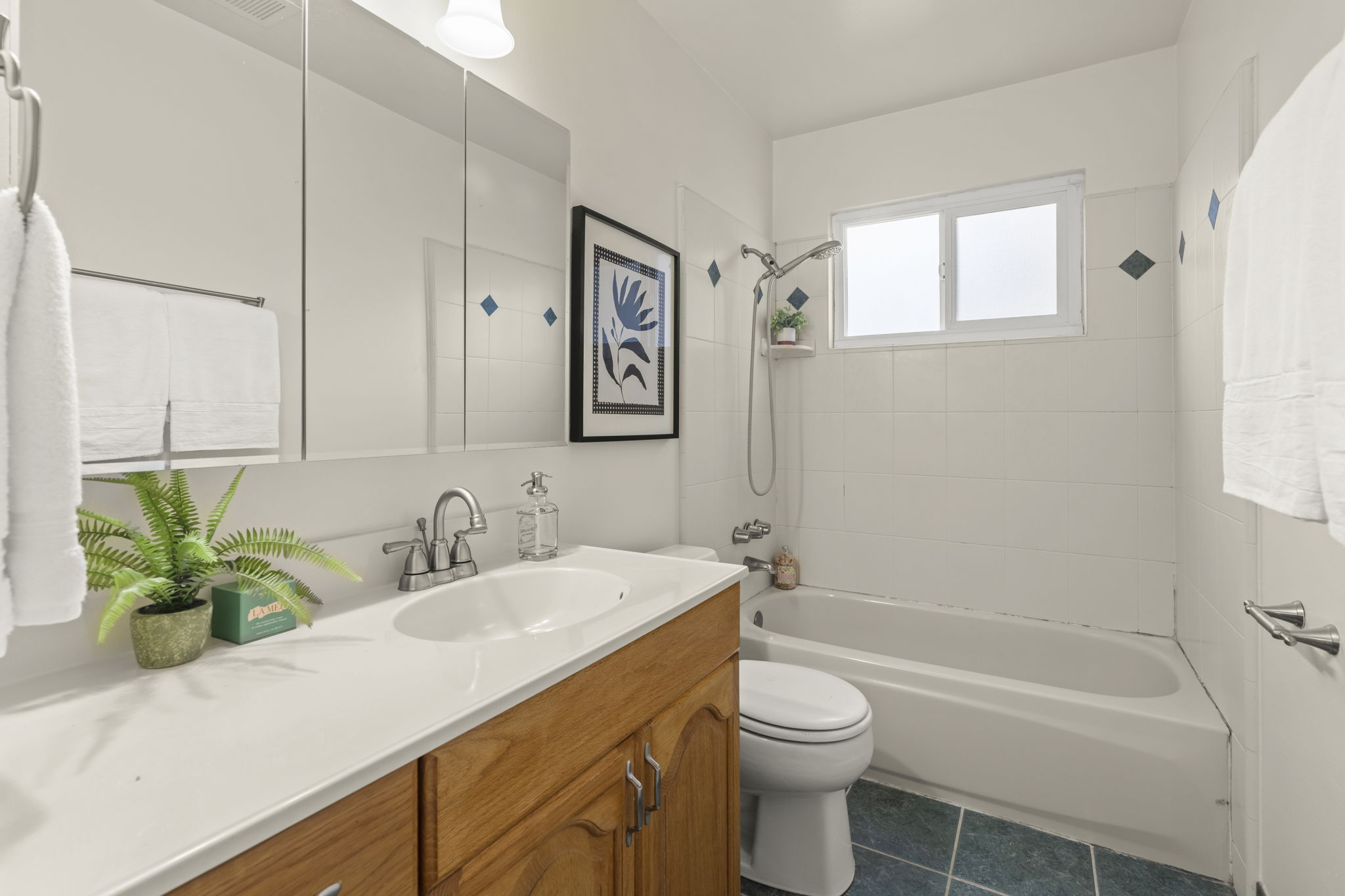 Hall Bathroom