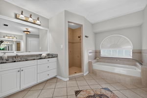 Primary Bathroom 1 of 2