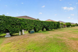 Large Rear Yard with Mature Privacy Landscaping