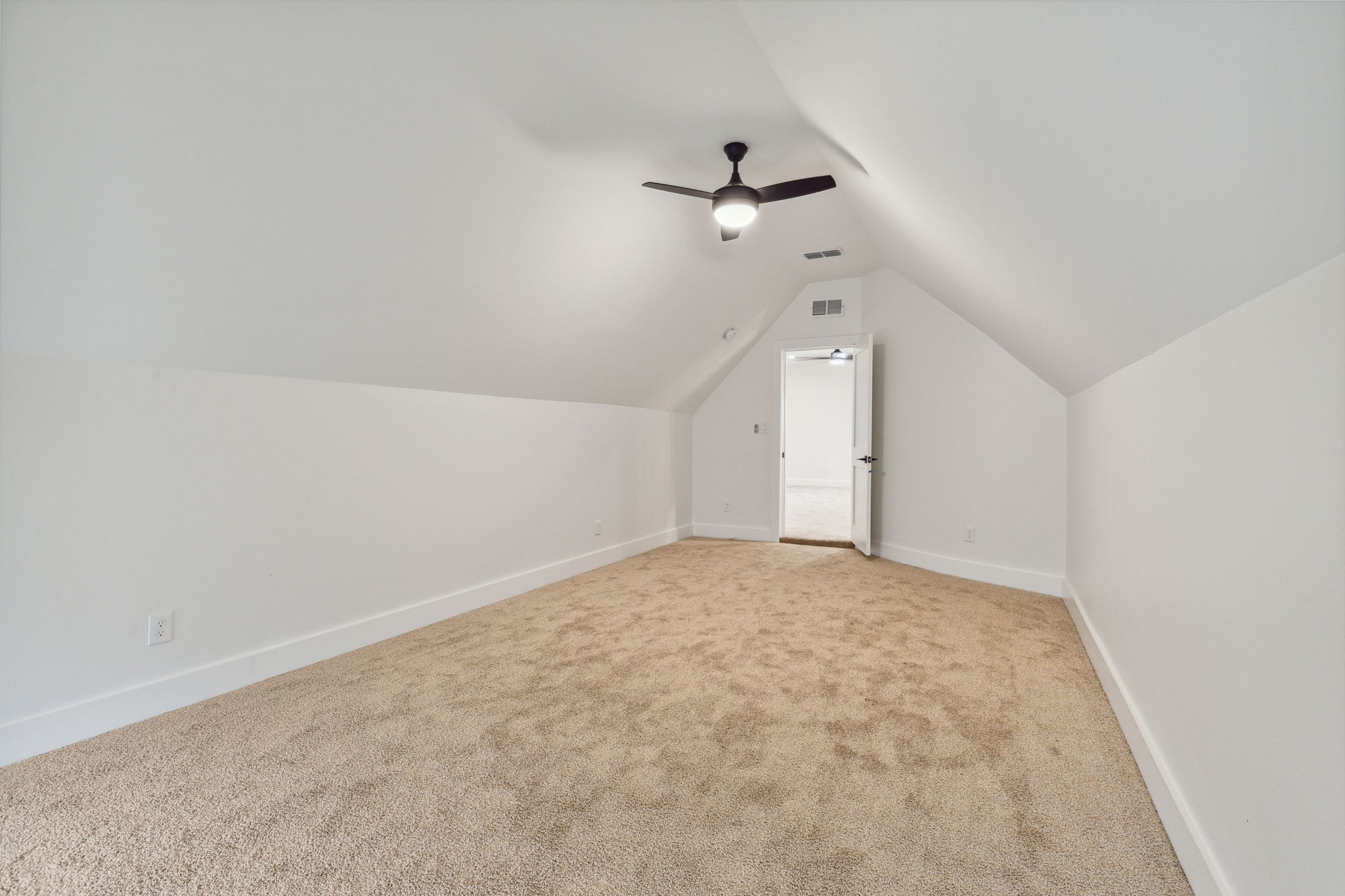 3419Challis_028