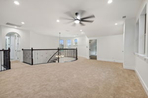 3419Challis_030