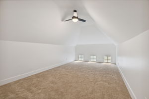 3419Challis_027