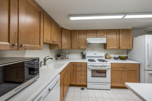 Lower Level Kitchenette