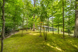 Nearly 1/2 acre private wooded lot w fenced bkyrd