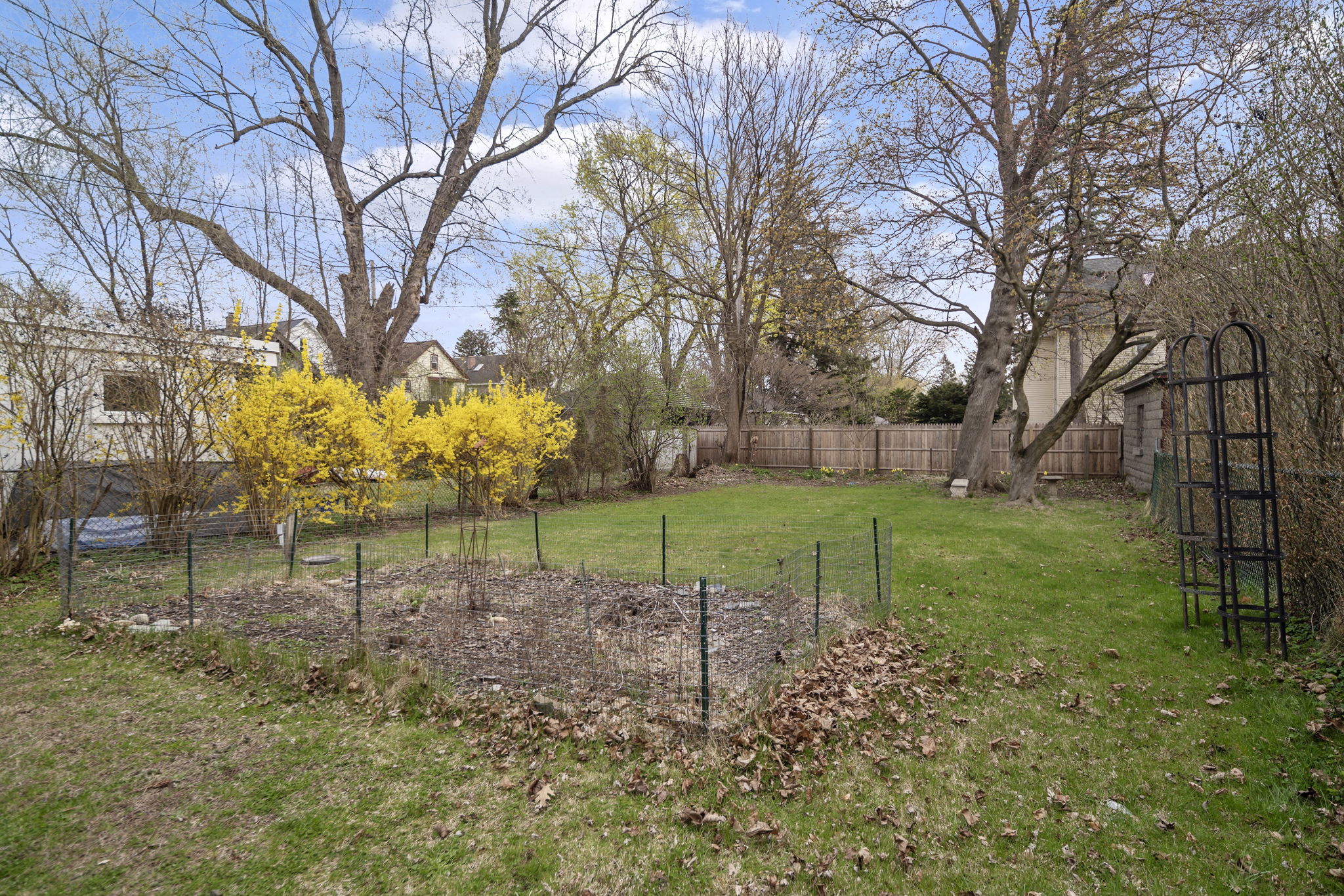 Photo 22