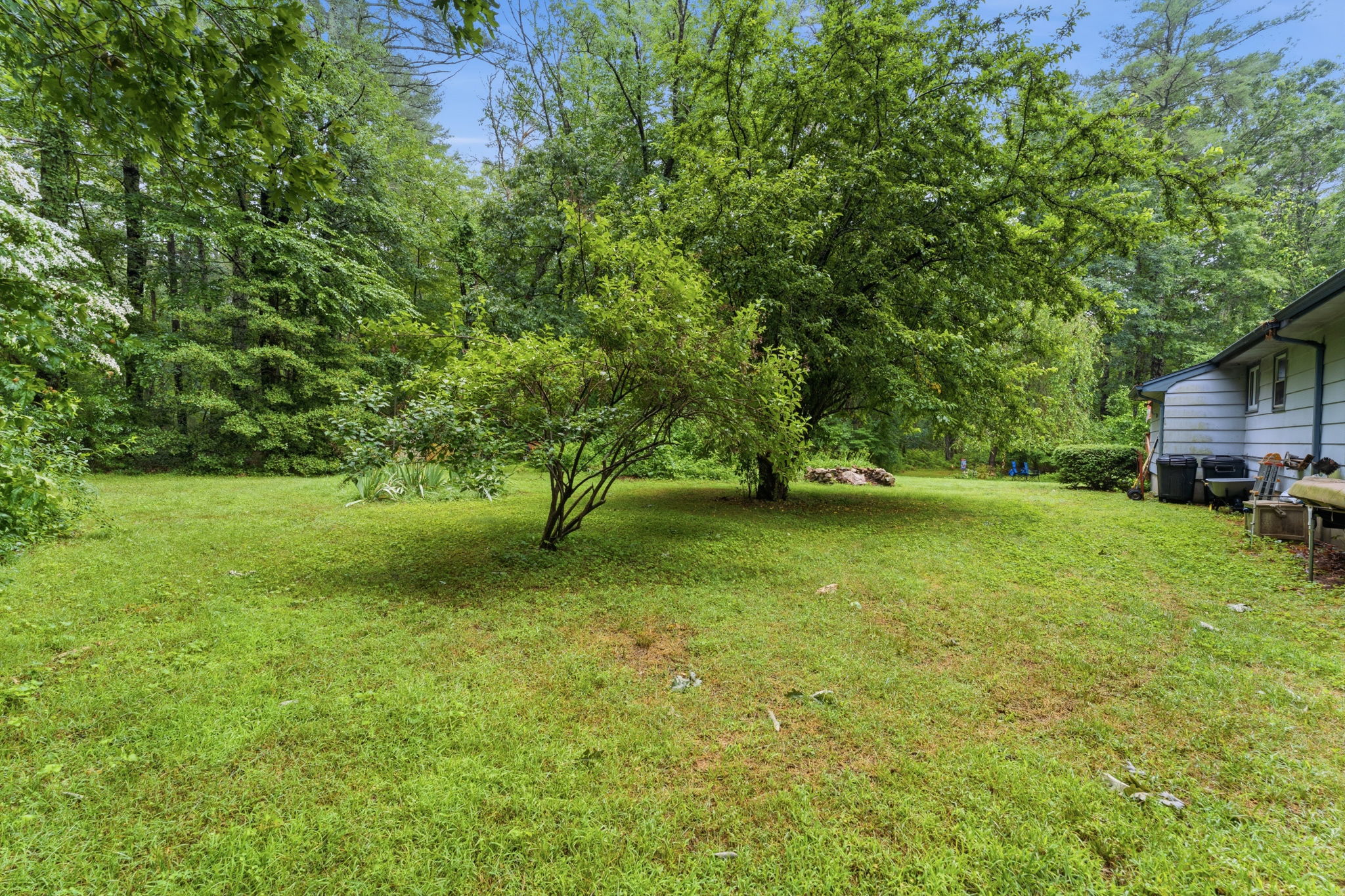  Photo 40
