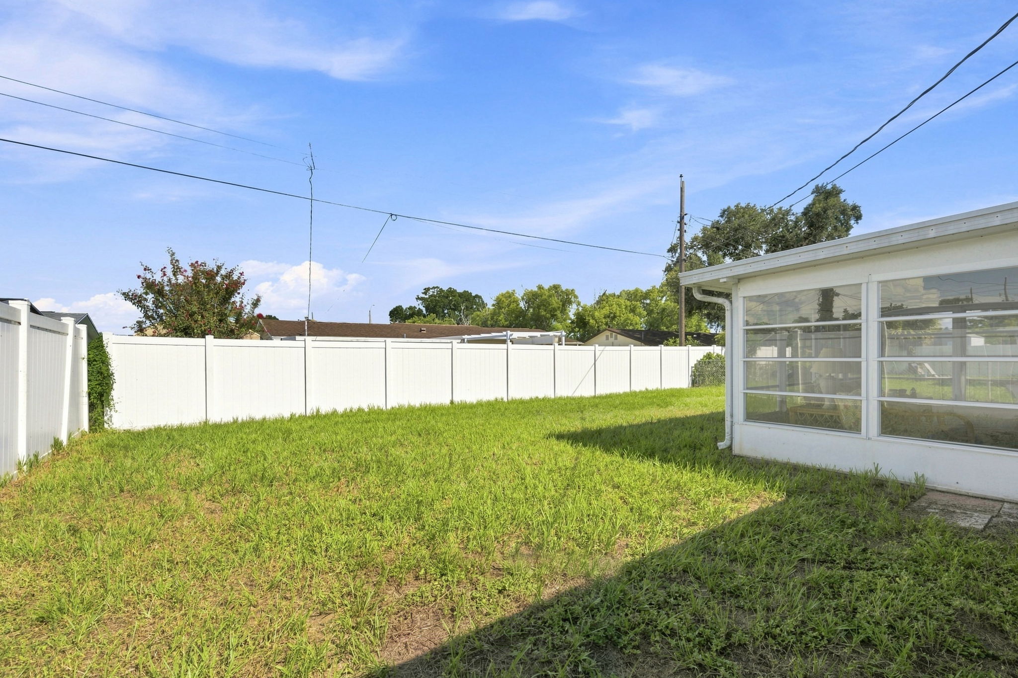 Backyard1