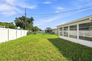 Backyard2