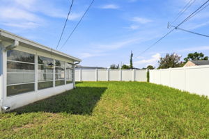 Backyard5