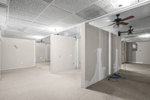 Basement Office