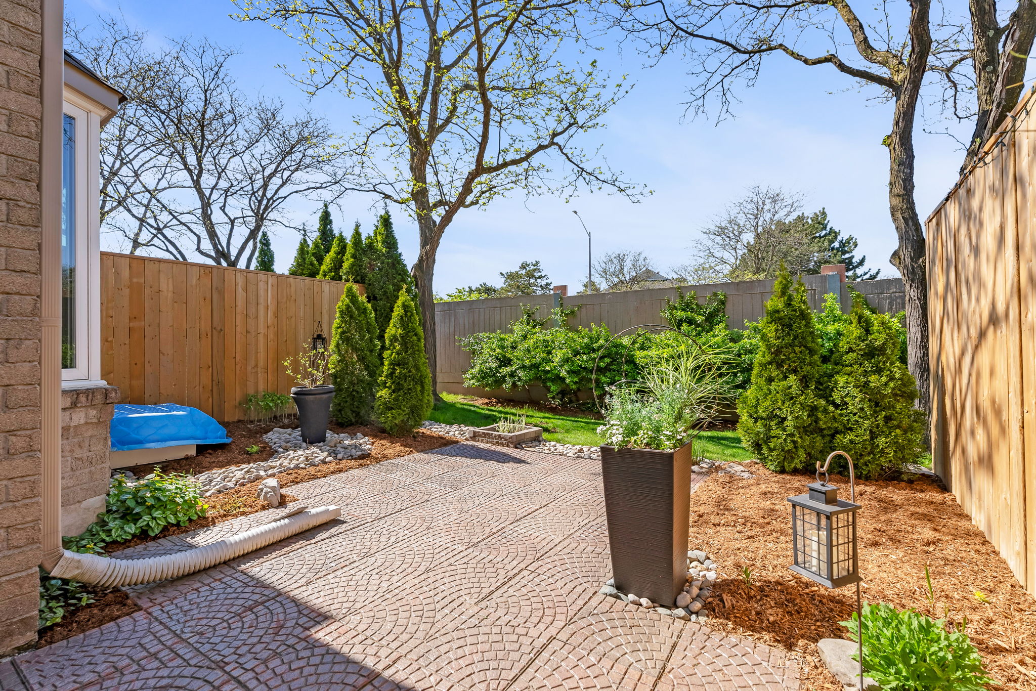 44-backyard1