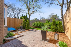 44-backyard1