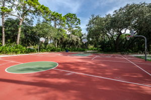 Forest Run Park7