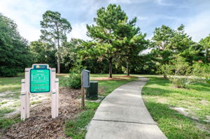 Forest Run Park2